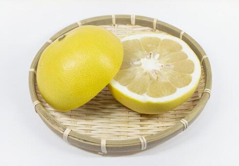 【2/10まで予約受付中】高知県産　ピロール文旦　5㎏