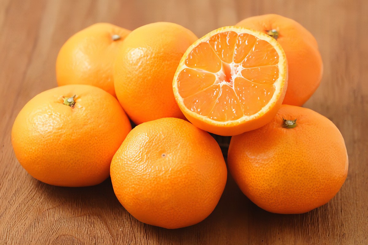 【11/21まで予約受付中☆和歌山県産】ピロールみかん10㎏